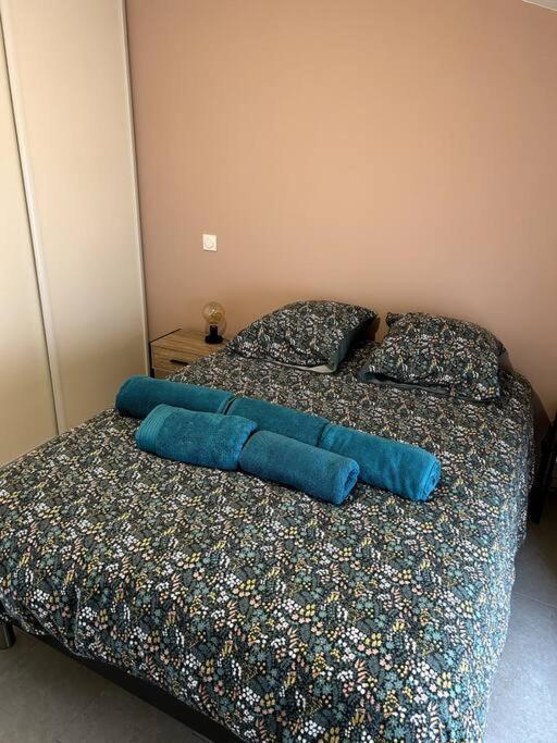 Le Cosy Grenier De Pauline Et Flo Apartment Cessenon-sur-Orb Exterior photo